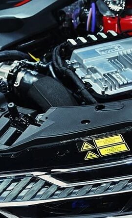 portfolio-11 portfolio-11